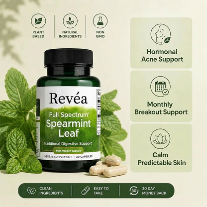 Spearmint Leaf Acne Support — 400mg