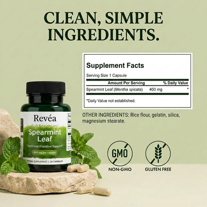 Spearmint Leaf Acne Support — 400mg